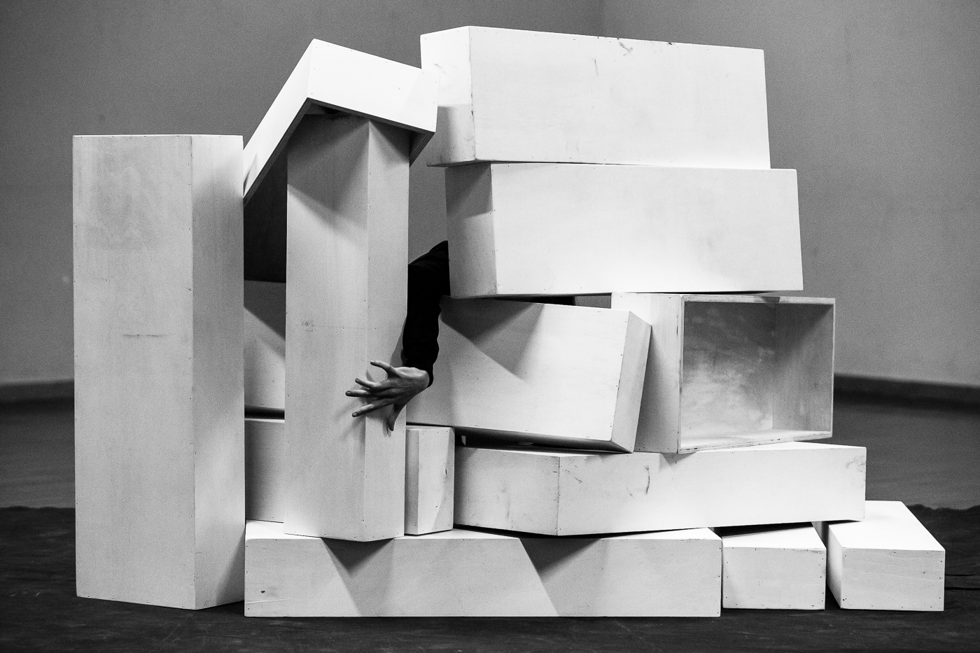 O Tempo das Árvores