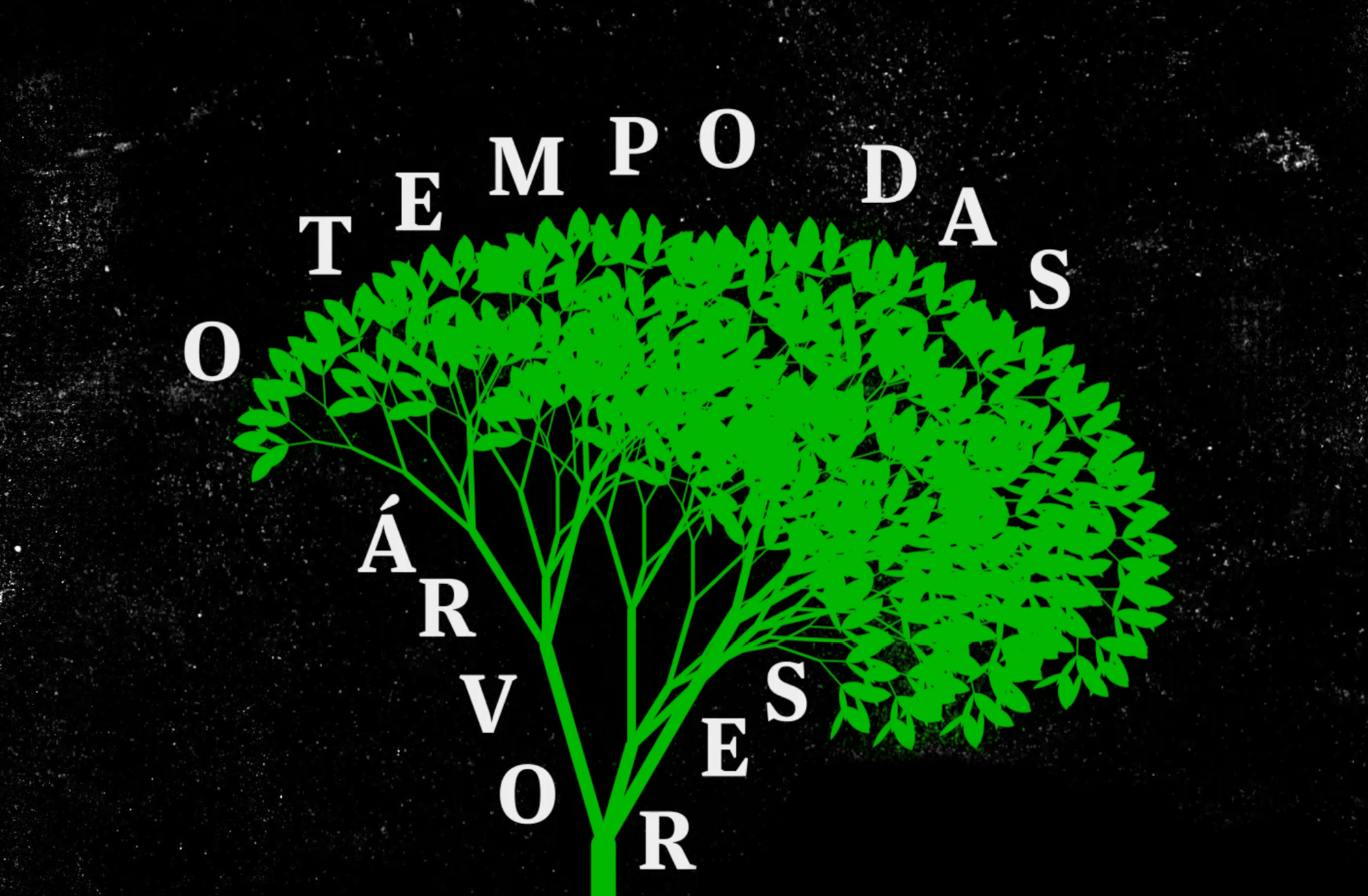 O Tempo das Árvores